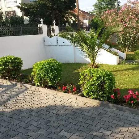 41 Apartman *